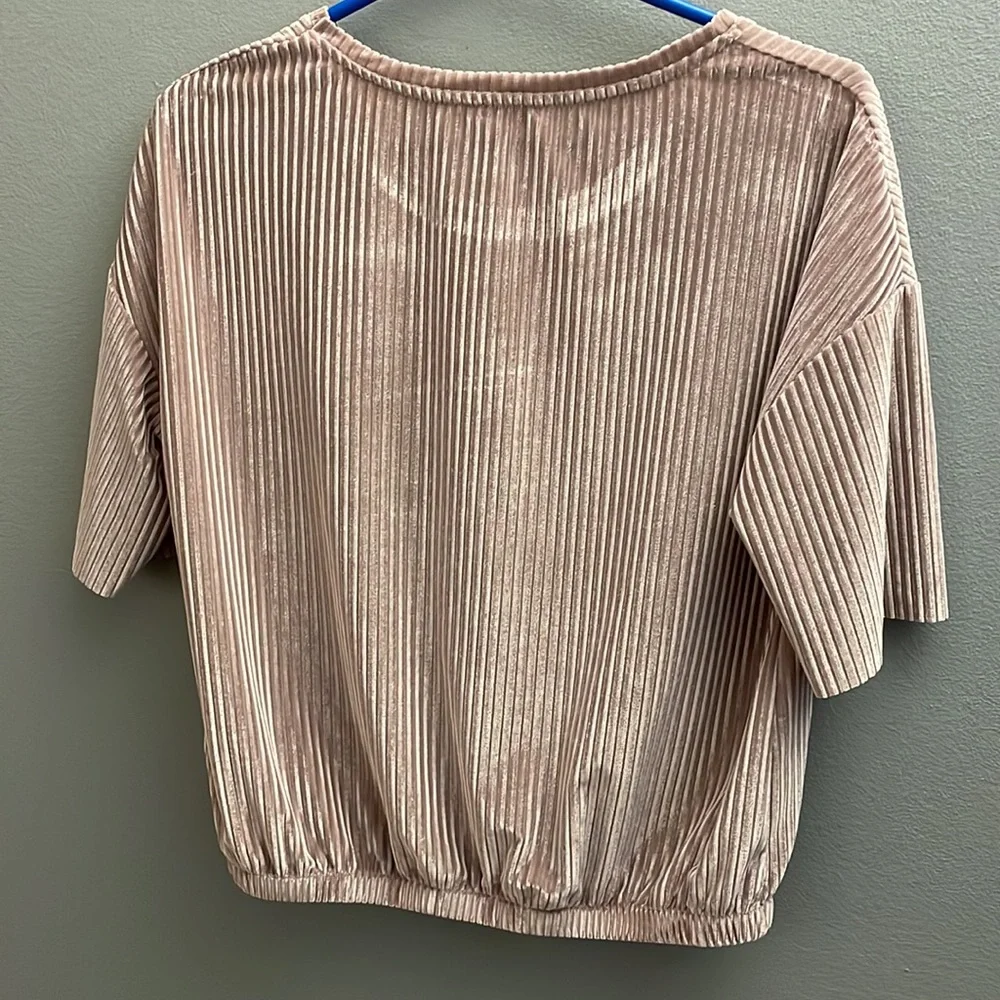 Blush Ribbed Velvet Top - Picture 4 of 8